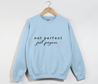 Load image into Gallery viewer, Not Perfect, Just Forgiven - Christian Sweatshirt
