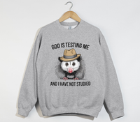 Load image into Gallery viewer, God Is Testing Me And I Have Not Studied - Sweatshirt
