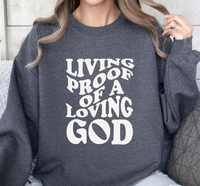 Load image into Gallery viewer, Living Proof Of A Loving God - Sweatshirt
