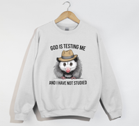 Load image into Gallery viewer, God Is Testing Me And I Have Not Studied - Sweatshirt
