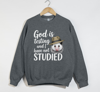 Load image into Gallery viewer, God Is Testing And I Have Not Studied - Sweatshirt
