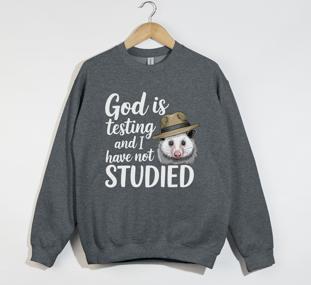 God Is Testing And I Have Not Studied - Sweatshirt