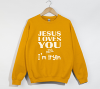 Load image into Gallery viewer, Jesus Loves You And I&#39;m Tryin - Christian Sweatshirt
