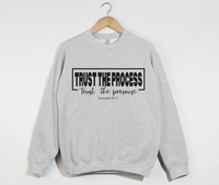 Load image into Gallery viewer, Trust The Process, Trust The Promise - Jeremiah 29:11 Sweatshirt

