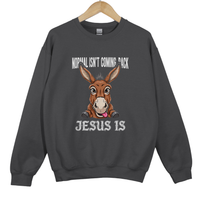 Load image into Gallery viewer, Christian Christmas Sweatshirt - Normal Isn't Coming Back Jesus Is