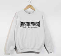Load image into Gallery viewer, Trust The Process, Trust The Promise - Jeremiah 29:11 Sweatshirt
