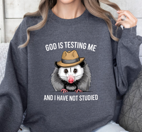 Load image into Gallery viewer, God Is Testing Me And I Have Not Studied
