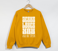 Load image into Gallery viewer, Jesus Loves You And I&#39;m Tryin - Christian Sweatshirt
