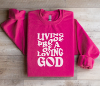 Load image into Gallery viewer, Living Proof Of A Loving God - Sweatshirt
