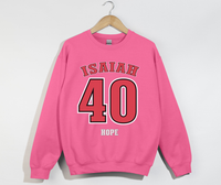 Load image into Gallery viewer, Isaiah 40 Hope - Christian Sweatshirt
