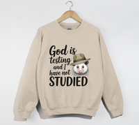 Load image into Gallery viewer, God Is Testing And I Have Not Studied - Sweatshirt
