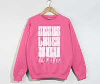 Load image into Gallery viewer, Jesus Loves You And I&#39;m Tryin - Christian Sweatshirt
